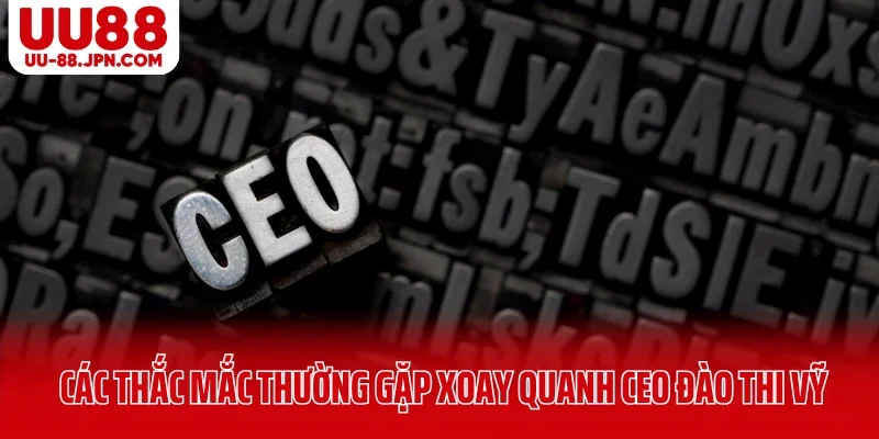 Các thắc mắc thường gặp xoay quanh CEO Đào Thi Vỹ